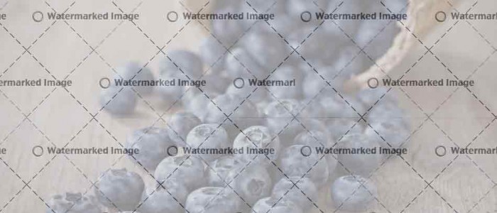 Post With Custom Slideshow